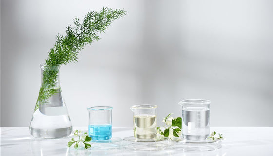 June 2021 Newsletter