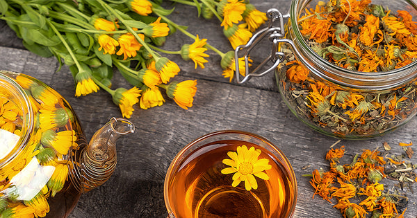 Botanical Oracle: Calendula, Calendula Officinalis