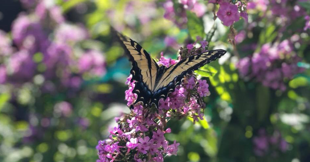 Part 1: The moment it all started for me.