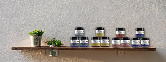 Dollars and Scents: Chapter 2, The 3rd Child