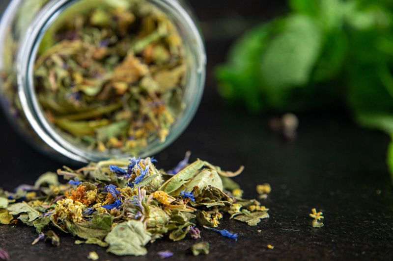 July 2022 Newsletter