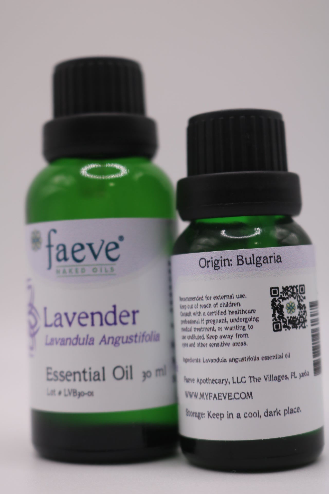 Lavender, Lavandula angustifolia
