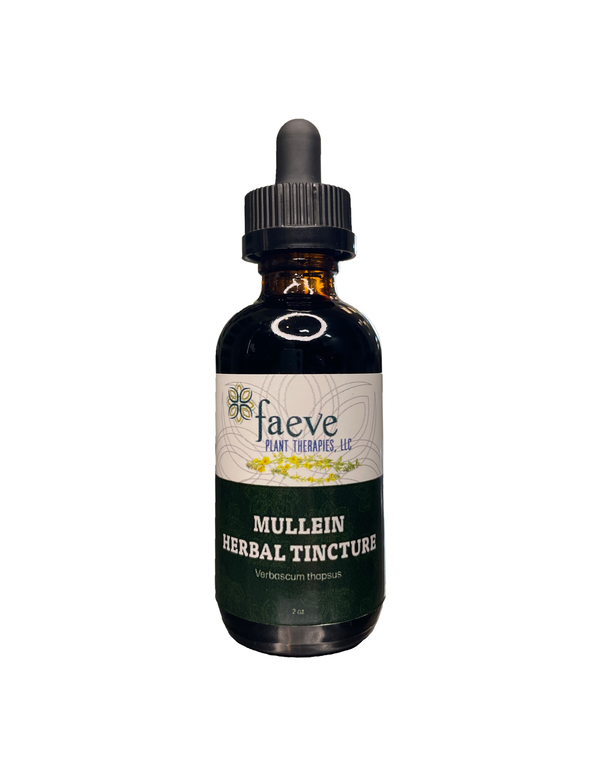 Mullein Herbal Extract