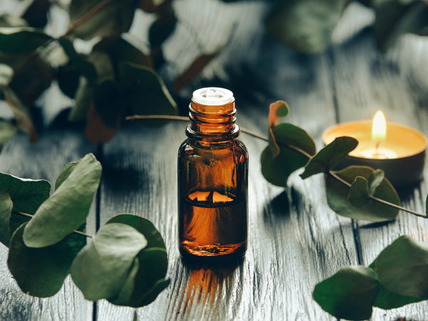 Free Aromatherapy Guide